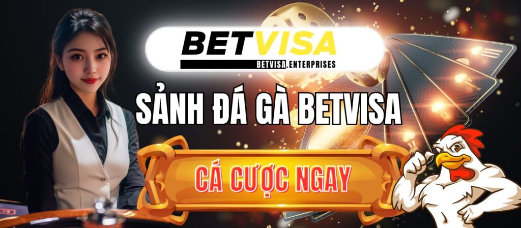 Betvisa | Nhà cái đá gà trực tiếp số 1 VN | Đăng ký +99USDT 1 betvisa